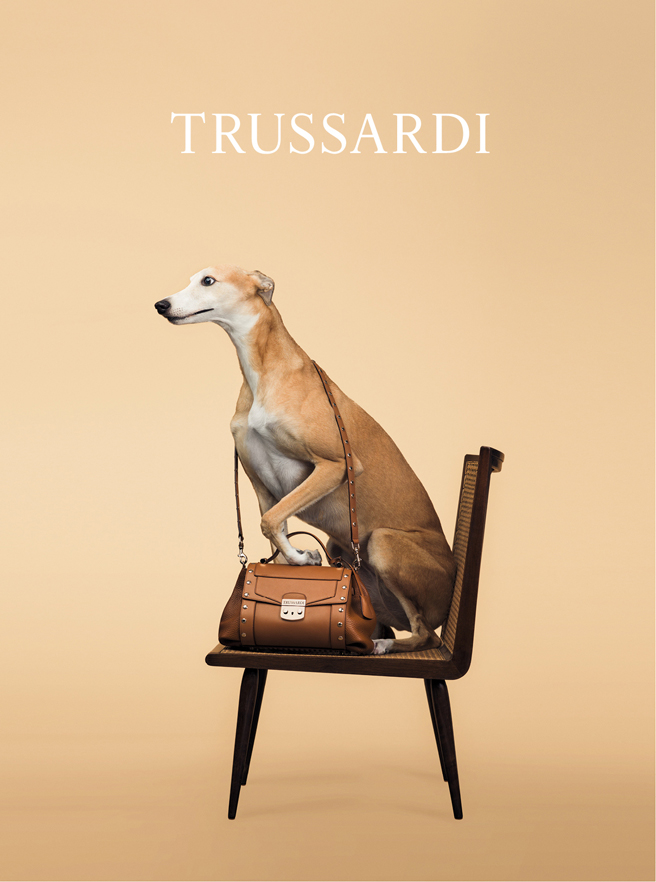 trussardi trussardi