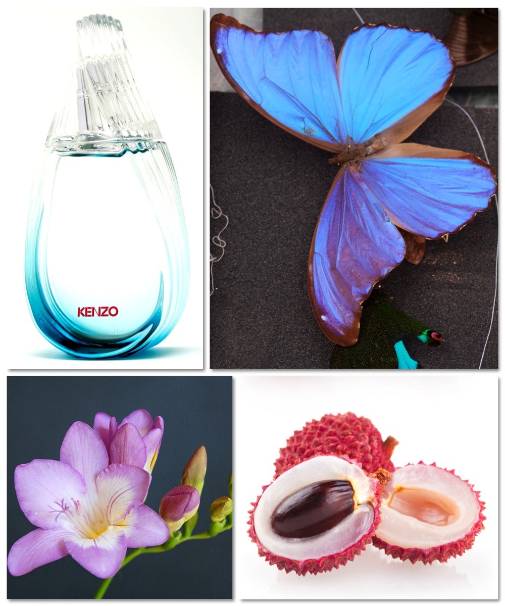 Описание картинки