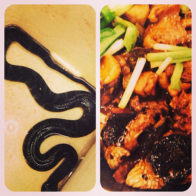 Наталья Подольская