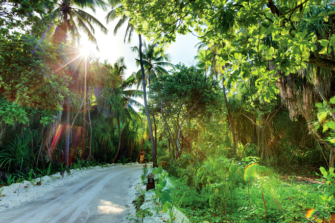 Hideaway Beach Resort & SPA Hideaway Beach Resort & SPA