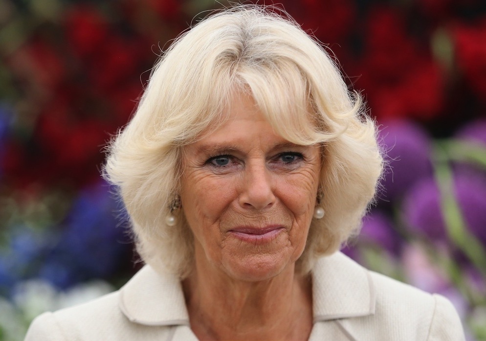 Герцогиня Кэтрин