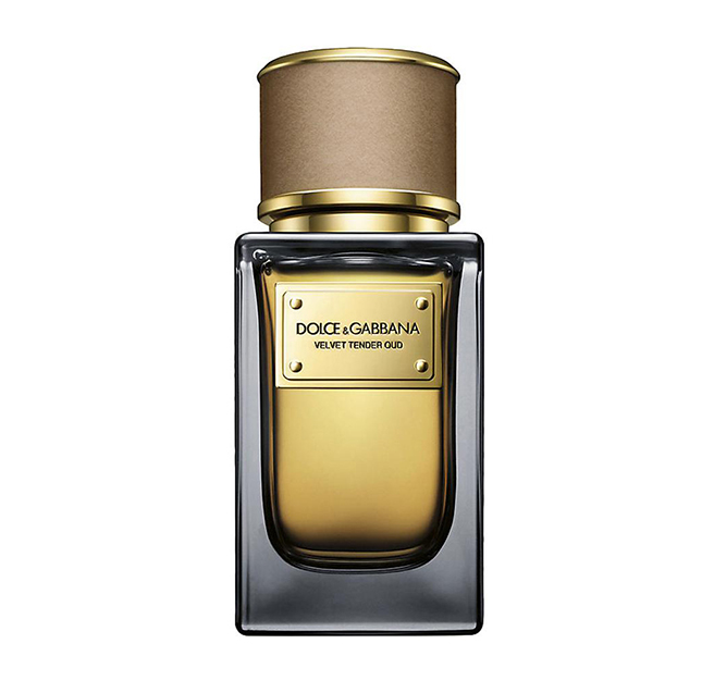 Velvet Tender Oud, Dolce & Gabbana