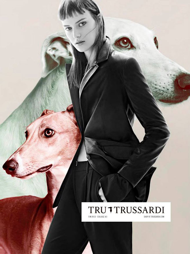 Trussardi F/W 2013/14 Trussardi F/W 2016/17