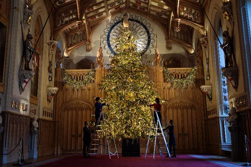 Рождество по-королевски: в Виндзорском замке установили 6-метровую пихту