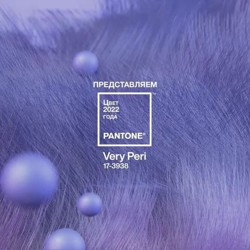 Very Peri («перванш», «барвинок») — цвет 2022 года по версии Pantone