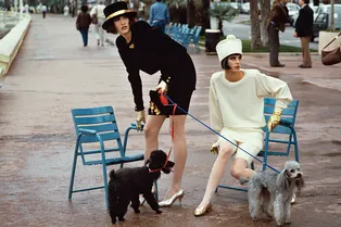 Новые выставки, международный фестиваль и не только: главные культурные события недели Новые выставки, международный фестиваль и не только: главные культурные события недели