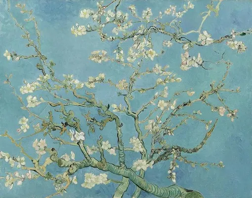 Картина Винсента Ван Гога «Цветущие ветки миндаля»