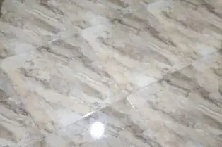 Эта визуальная головоломка заставила понервничать владельцев домашних животных — 8 из 10 не могут найти на фото кота. Но у вас-то получится?