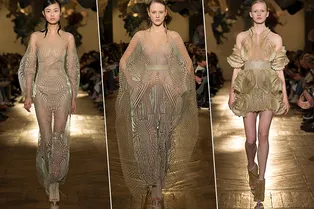 Платья из 3D-принтера и туфли на подставке: 21 кутюрный образ Iris van Herpen