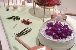 НАХОДКА НЕДЕЛИ