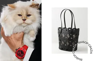 Кампейн с кошкой Карла Лагерфельда и одежда в самых модных оттенках весны: чем удивили бренды на этой неделе Кампейн с кошкой Карла Лагерфельда и одежда в самых модных оттенках весны: чем удивили бренды на этой неделе