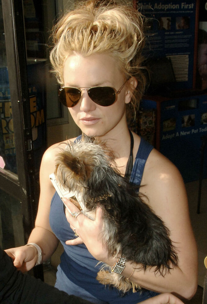 Бритни со своей собакой в 2007 году