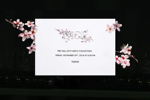 Смотрите он-лайн трансляцию показа Dior Pre-Fall
