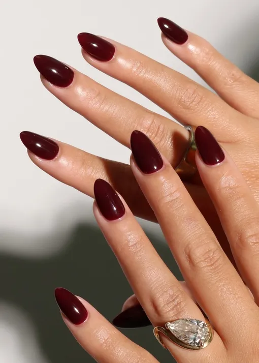 Модные оттенки маникюра на зиму 2026 Модные оттенки маникюра на зиму 2026