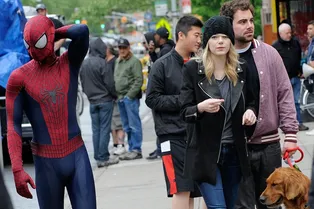 Расставил сети Расставил сети