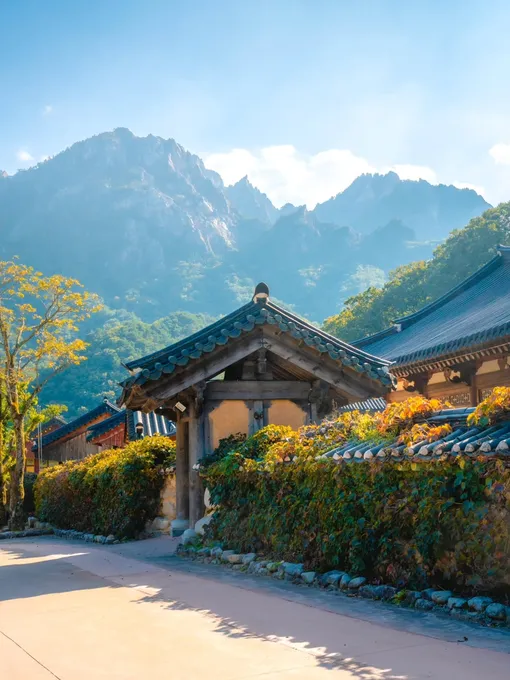 корея корея