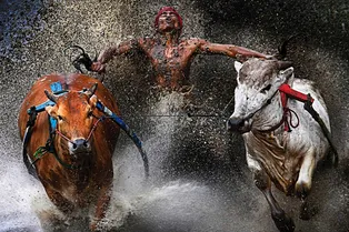 Выставка. Ребекка Хорн