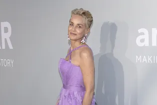 Этот цвет сделает вас визуально моложе — и его уже примерила Шэрон Стоун