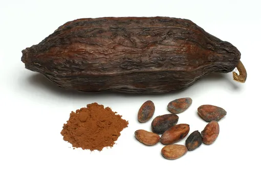Плод дерева, бобы и какао-порошок