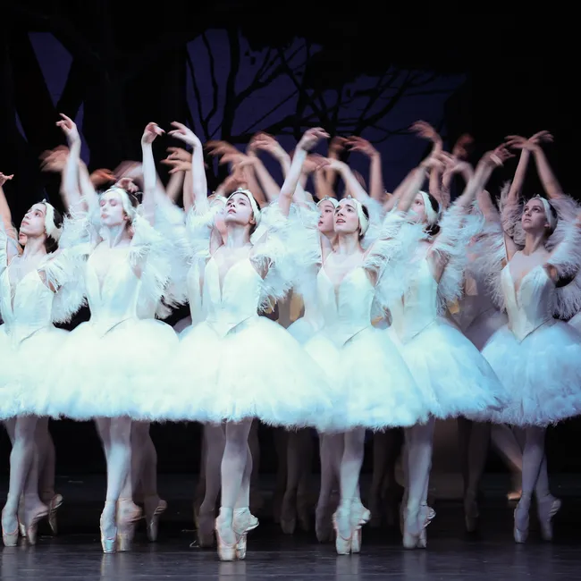 От полного провала к всемирной славе: история балета «Лебединое озеро»