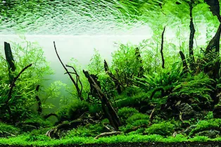 Фестиваль. «Экзотическая зима» в «Аптекарском огороде» МГУ