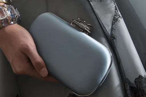 Жучки и паучки: новая сумка Alexander McQueen Bug On Stone