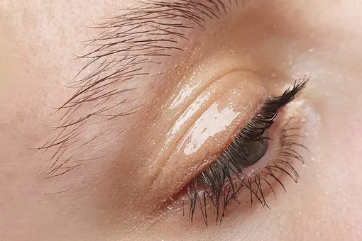 Как повторить glossy eyelids? Этот макияж глаз с «влажным» эффектом уже стал трендом в ТикТоке