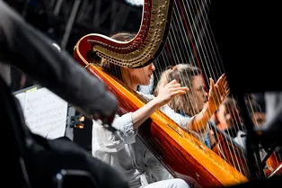 Новые выставки, летний фестиваль кино и не только: главные культурные события Новые выставки, летний фестиваль кино и не только: главные культурные события