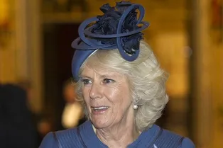 Камилла Паркер-Боулз будет лечиться от алкоголизма!