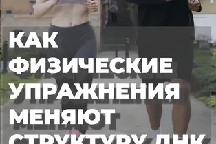 Как физические упражнения меняют структуру ДНК
