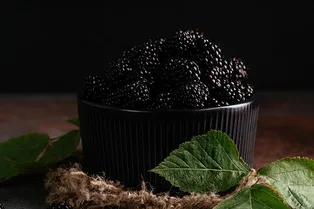 Польза и вред ежевики для организма: как использовать ее в кулинарии
