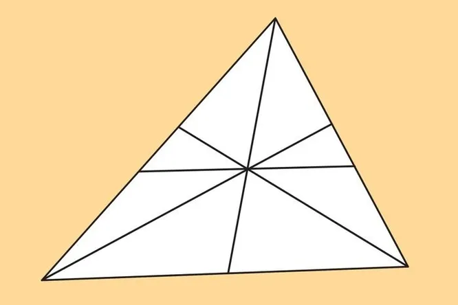 Сколько треугольников вы насчитали?