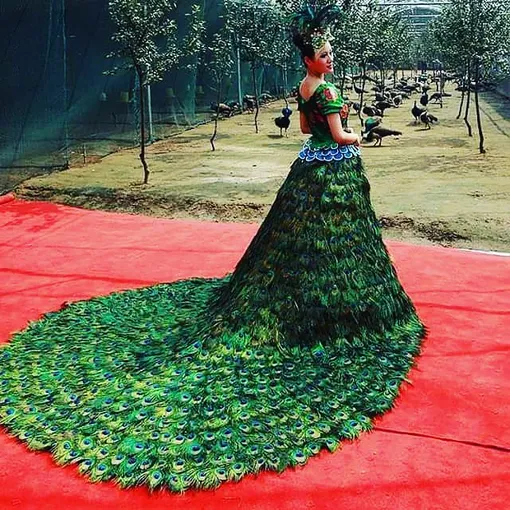 Платье из павлиньих перьев — одно из самых дорогих в мире