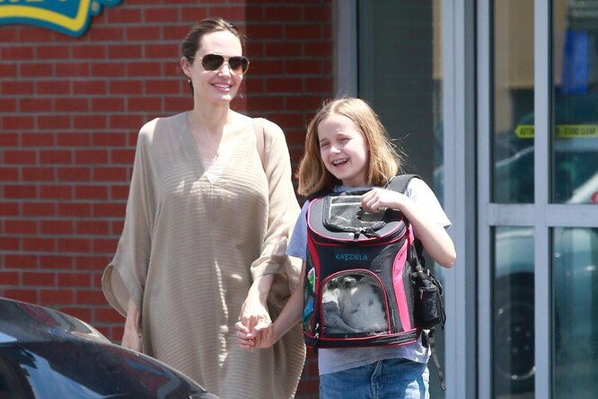 Анджелина Джоли в платье-коконе вместе с дочерью сходила в зоомагазин