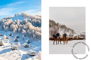 Дневник редактора: полная перезагрузка на Алтае Дневник редактора: полная перезагрузка на Алтае