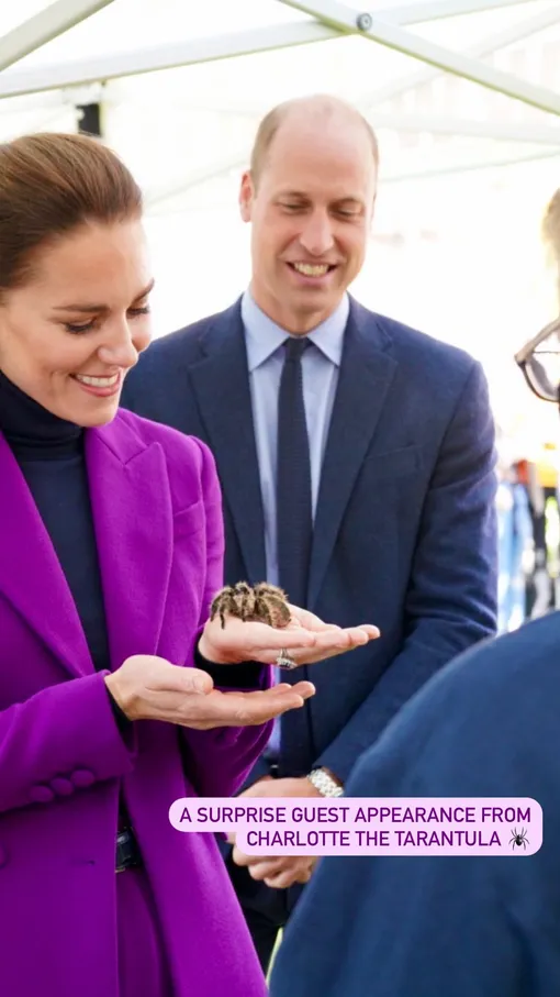 Кейт Миддлтон держит тарантула