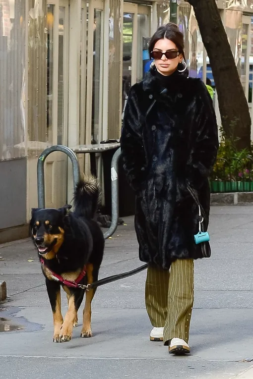 Эмили Ратаковски на прогулке с собакой