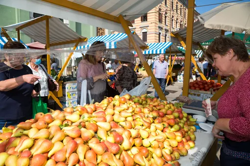 Выбирая груши, проверяйте на спелость ее шейку