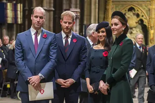 Члены британской королевской семьи пытаются повторить успех принцессы Дианы в Америке