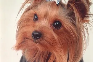 О маленьком герое и большой дружбе