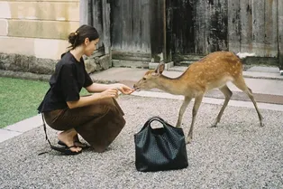 Японская концепция шошин — путь к гибкости мышления Японская концепция шошин — путь к гибкости мышления