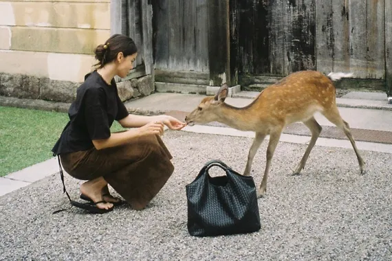 Японская концепция шошин — путь к гибкости мышления
