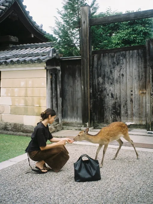 Как внедрить концепцию шошин в свою жизнь Как внедрить концепцию шошин в свою жизнь