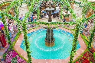 Фестиваль цветов Фестиваль цветов