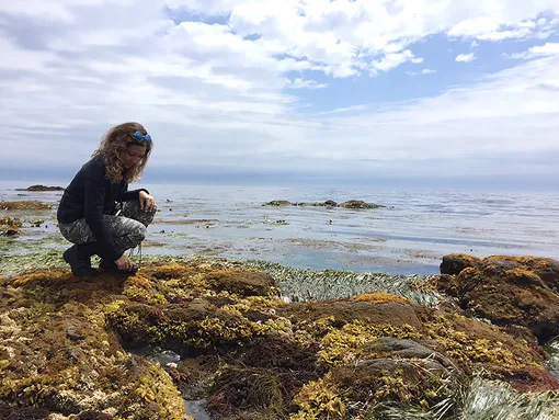 Редактор Grazia Анастасия Ежова поучаствовала в сборе водорослей на берегу Охотского моря