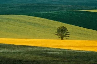 ВЫСТАВКА. ФРАНКО ФОНТАНА ВЫСТАВКА. ФРАНКО ФОНТАНА