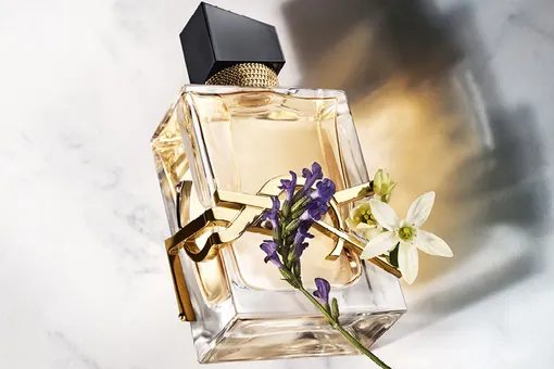 Аромат свободы: новый Libre от Yves Saint Laurent Аромат свободы: новый Libre от Yves Saint Laurent