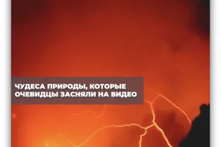Чудеса природы Чудеса природы