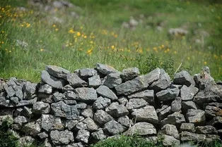 Даже самые зоркие пользователи Сети опускают руки — они попросту не в силах отыскать на снимке сову. А у вас получится?