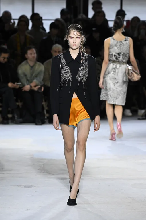 Dries Van Noten, весна-лето 2025